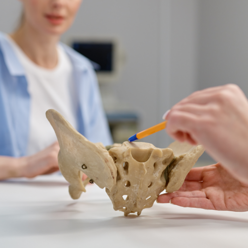 pelvic-pain-workshop-columbus-physical-therapy-columbus-humphrey-norfolk-ne