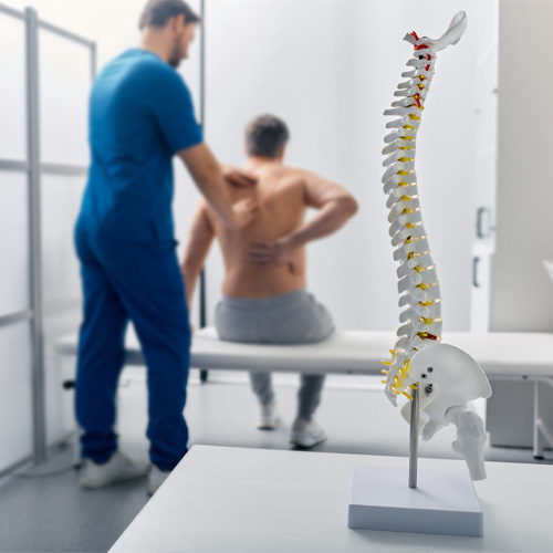 Back Pain Slowing You Down? PT Can Help!